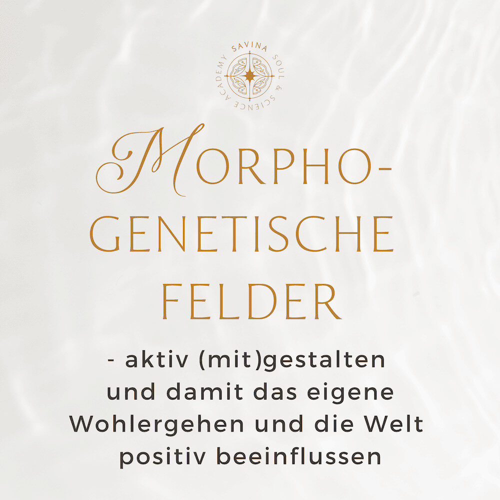 Savina Traumasensible Ausbildung Soul and Science Academy HD Energetische Felder