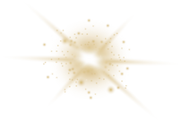 Savina Traumasensible Ausbildung Soul and Science Academy goldstar